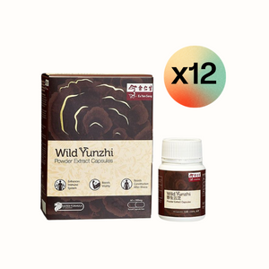 Wild Yunzhi Powder Extract - 12 Boxes (野生雲芝粉提取物膠囊 - 12盒)